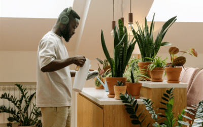 Eco-Friendly Essentials Tips for Flatmates in Australia.