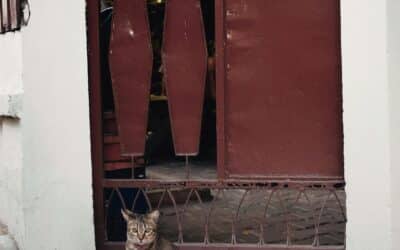 Share House in Australia: Co-Living Myths Debunked