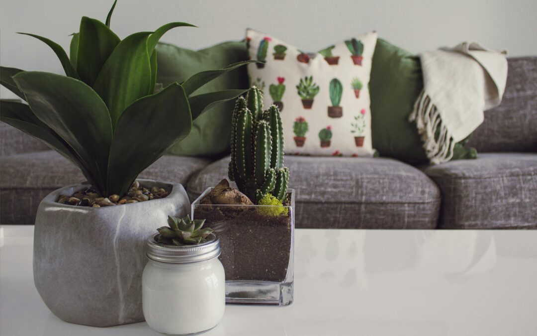 Share House Adelaide Decor on a Dime